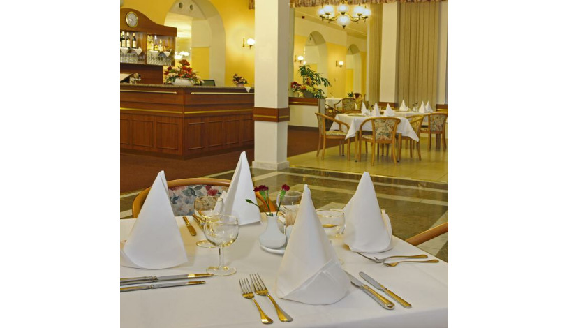 Vltava Ensana Health Spa Hotel Mariánské Lázně